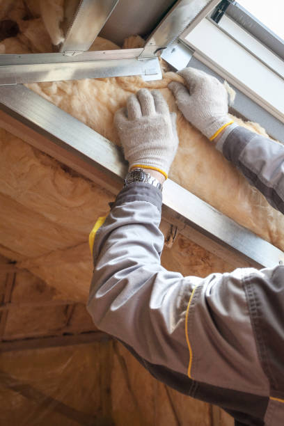 Best Insulation Installation Services in Lowellville, OH
